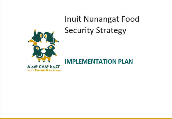 implementation plan