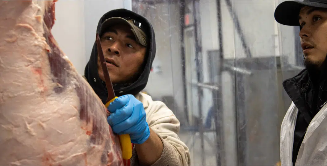 Two people work in a meat processing facility. One person, wearing a hoodie and blue gloves, uses a knife to butcher a large cut of meat, while the other person watches attentively. The scene takes place in a clean, indoor environment focused on food preparation.