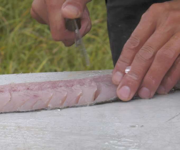 Jonathan-Elias-Tuk-Harbour-Fishnet